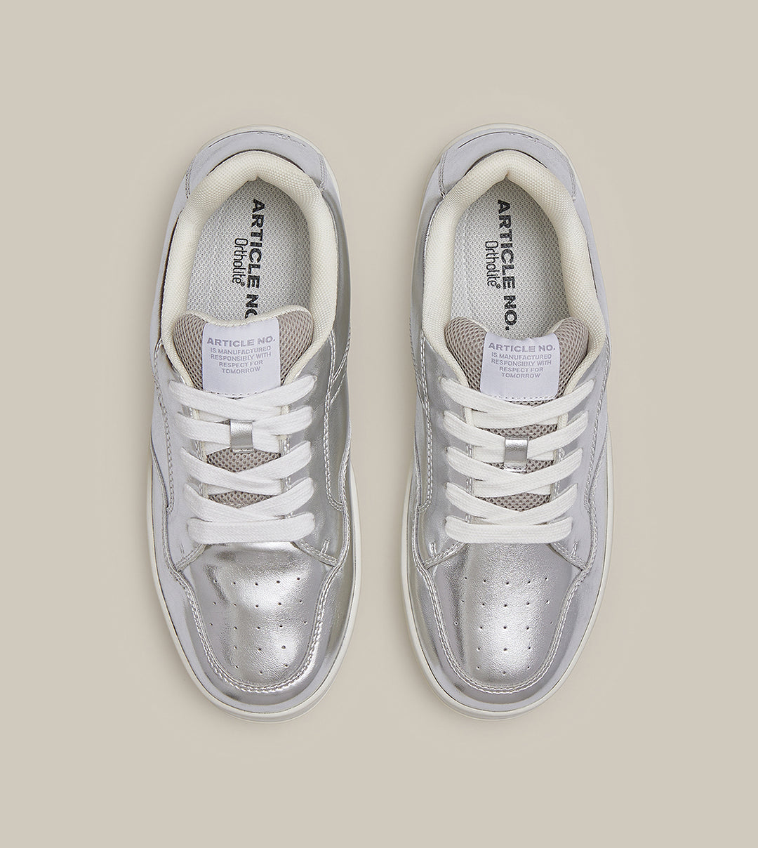 COURT SNEAKER LOW-TOP SILVER SKATE SNEAKERS